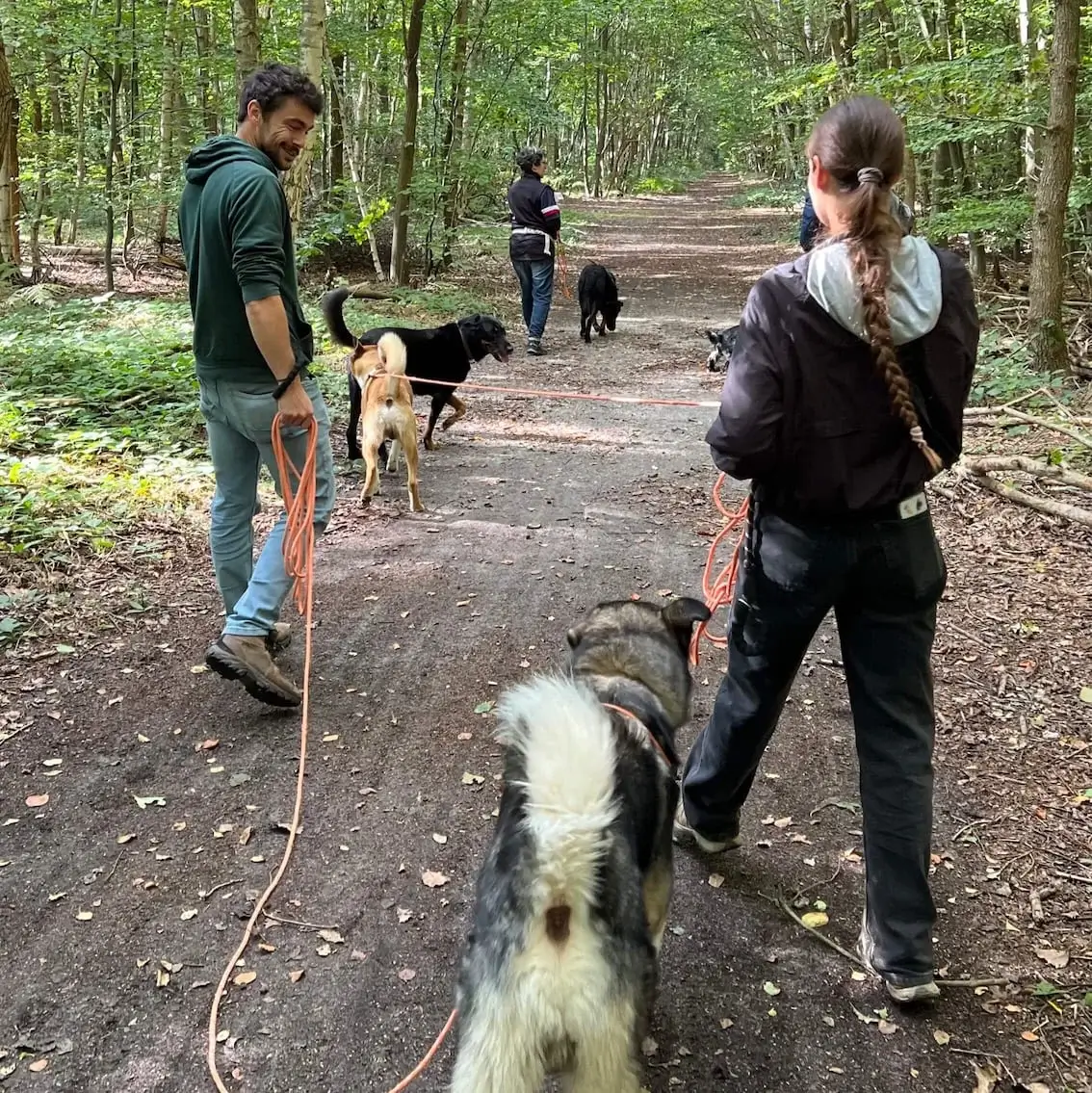 Balade canine 22 février